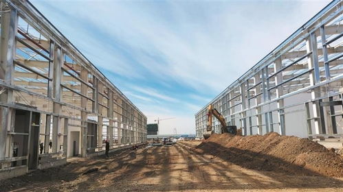 新疆生产建设兵团 园区建设 项目施工一隅