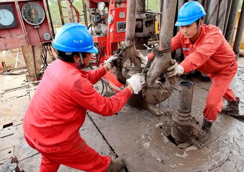 党代会专题报道一 市场开发全方位发力 布局优化成效显著