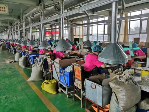 创建巧媳妇工程 助力脱贫攻坚 南阳药益宝艾草制品李红文