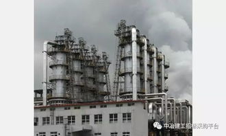 3 中冶建工五公司重庆珞璜污泥处置中心工程土建施工劳务分包